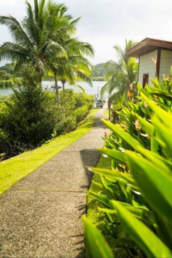 Casa Marlin Bocas Town Exterior photo